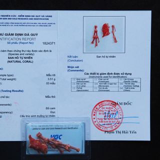 Bộ thất bảo số 3 - Cốt bát hương cốt bát nhang - Bộ lớn