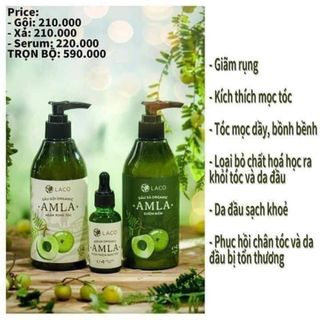 Dầu gội trị rụng tóc Amla