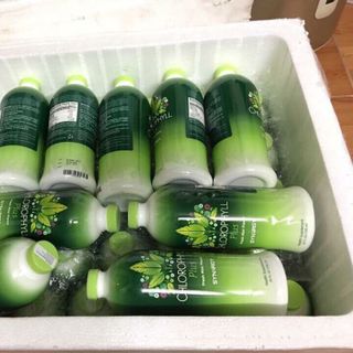 Diệp lục Singapore