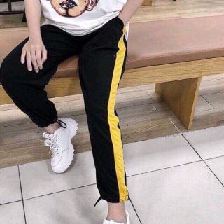 Quần sọc vàng thể thaoVL53