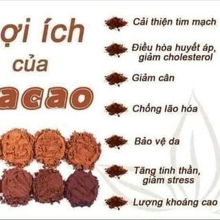 Hộp 500g bột ca cao nguyên chất đắc lắc