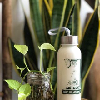 CHAI THỦY TINH CÓ DÂY XÁCH 300