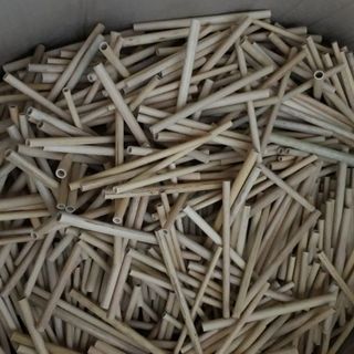 Ống hút tre- bảo vệ sức khoẻ và bảo vệ môi trường