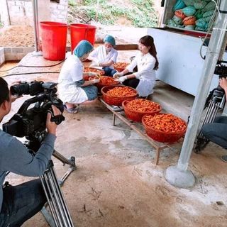 Tinh bột nghệ Bắc Kạn 500gr