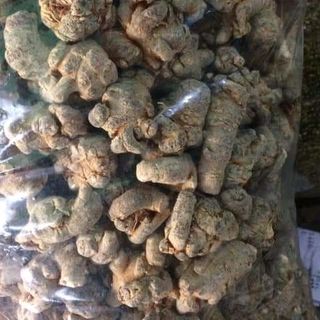 củ tam thất bắc