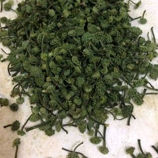 Nụ hoa tam thất