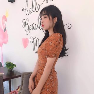Đầm Hoa Dúm Eo Bo Tay