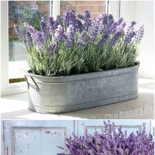 Bán buôn bán sỉ chậu thiếc trang trí mã BDH-ZNT001