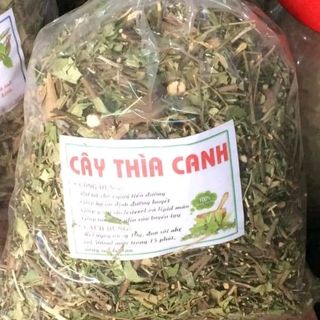 cây Thìa canh