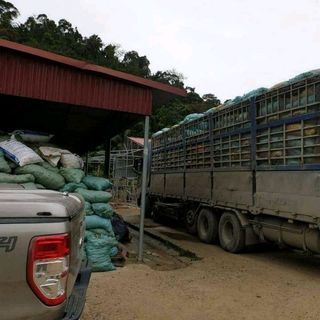 Tinh bột nghệ Bắc Kạn 110gr