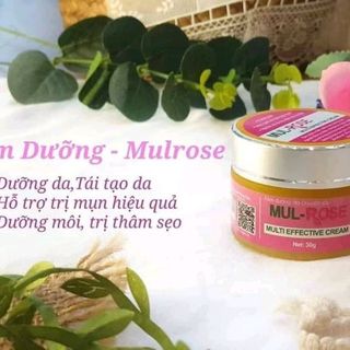Kem nghệ đa năng Mulrose điều trị các bệnh ngoài da