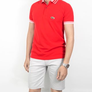 Áo thun có cổ nam già sỉ 130k-150k