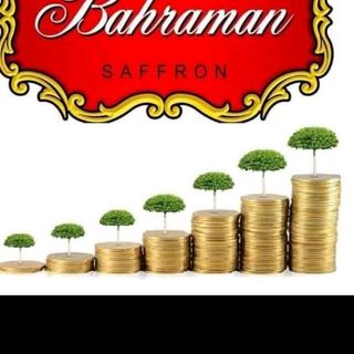 Saffron nhụy hoa nghệ tây