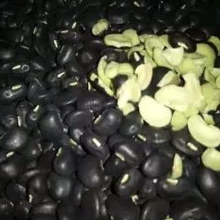 Đậu đen xanh lòng
