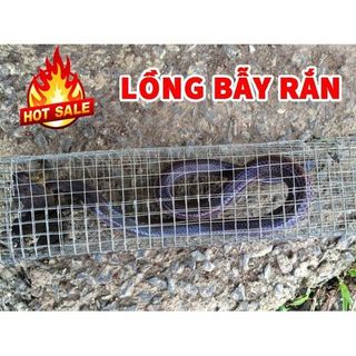 Lồng bắt rắn 2 hom giá sỉ