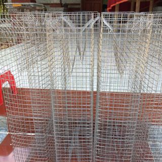 Lồng bắt rắn 2 hom