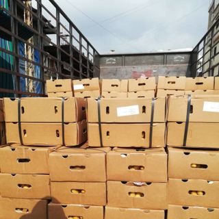 Chà Là từ Suda giá sỉ