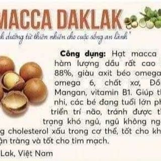 Hạt macca đã sấy khô tách nứt vỏ