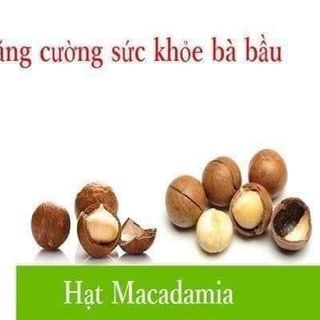 Hạt macca đã sấy khô tách nứt vỏ