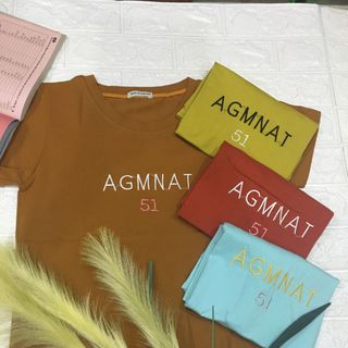 Áo thun 4 chiều thêu