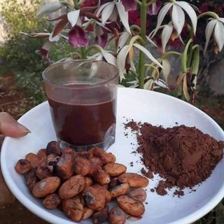 Bột cacao nguyên chất Đăk Lăk