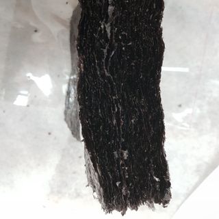 Rong biển lá kim 100 lá