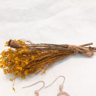 bông tai E142