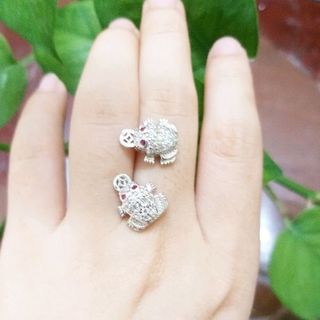 Bông tai sỉ nguyên lô 30c