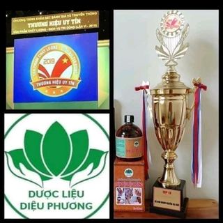 Thuốc xoa bóp xương khớp cột sống gia truyền Dược liệu Diệu Phương
