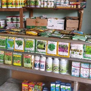 có đủ các thể loại hạt giống nha mọi người