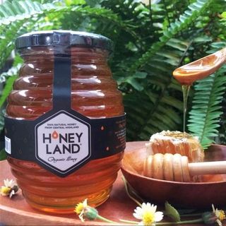 Mật ong hoa rừng Honey land