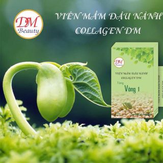 Mầm Đậu Nành
