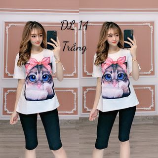 đồ bộ nữ thun thái dẻo Dl14