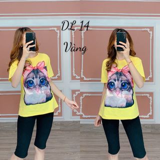 đồ bộ nữ thun thái dẻo Dl14