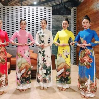 Aó Dài Truyền Thống Tằm In Thêu Sen 4 Màu