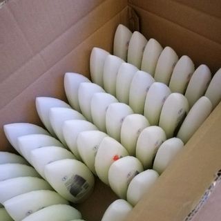 sữa tắm cá ngựa