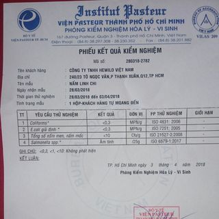 Nấm Linh Chi nguyên tai