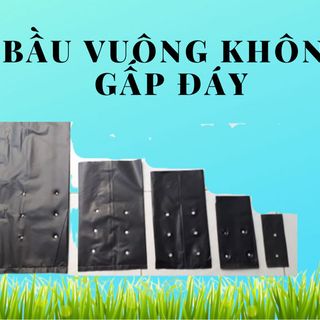 Túi bầu ươm cây pe vuông giá sỉ