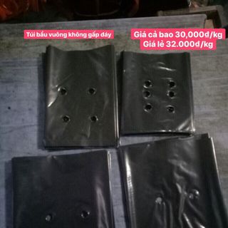 Túi bầu ươm cây pe vuông