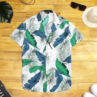 Áo somi cỗ vest giá mểm cho ae 110k-130k