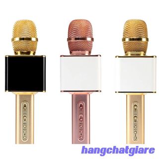 Mic có loa SD08