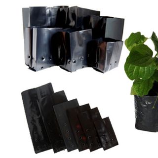 Túi bầu ươm cây pe-gấp đáy