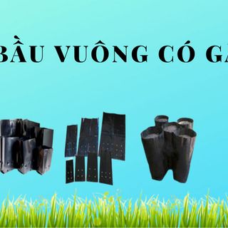 Túi bầu ươm cây pe-gấp đáy