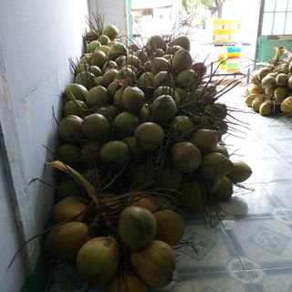 dua bên tre