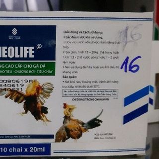 NEOLIFE - MEN SỐNG CAO CẤP CHO GÀ ĐÁ