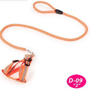 DÂY XÍCH CHÓ DẠ QUANG