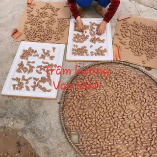 Trầm nụ cao cấp làm từ trầm núi tự nhiên