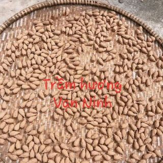 Trầm nụ cao cấp làm từ trầm núi tự nhiên