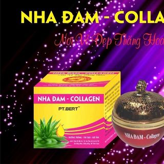 kem colagel nha đam