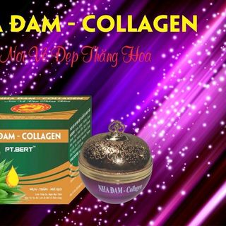kem colagel nha đam